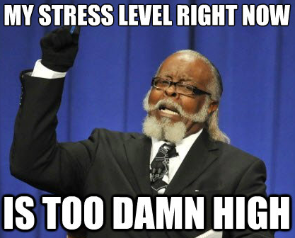 entrepreneur stress level